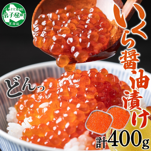 3596. いくら醤油漬け 200g 2個セット いくら イクラ 魚卵 魚介 海鮮 送料無料 北海道 弟子屈町