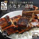 【ふるさと納税】うなぎの蒲焼 1尾 180〜200g 大型サイズ 6か月 定期便 6回 毎月 うなぎ 鰻 ウナギ 蒲焼き タレ付き 密封パック入り 佐賀県 鹿島市 冷蔵 送料無料 I-20