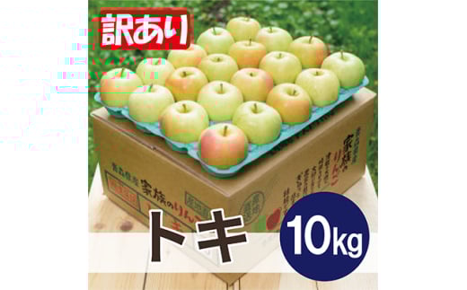 ＜26年2月より順次発送＞平均糖度13度以上! トキ 約10kg 訳あり【1611798】