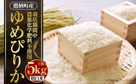 A239 【令和7年産】 ゆめぴりか （ 精白米 ） 栽培期間中農薬化学肥料不使用 5kg たかすタロファーム 北海道 鷹栖町 米 コメ こめ ご飯 お米 白米