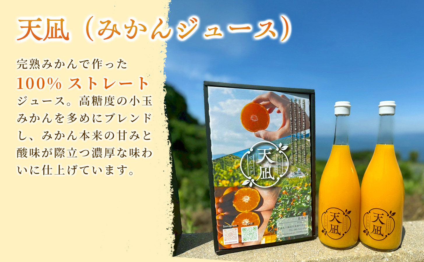 【砂糖・保存料・甘味料すべて不使用】愛媛みかんジュース「天凪」　720ml　4本【E98-2】【1711050】 YWTBU002