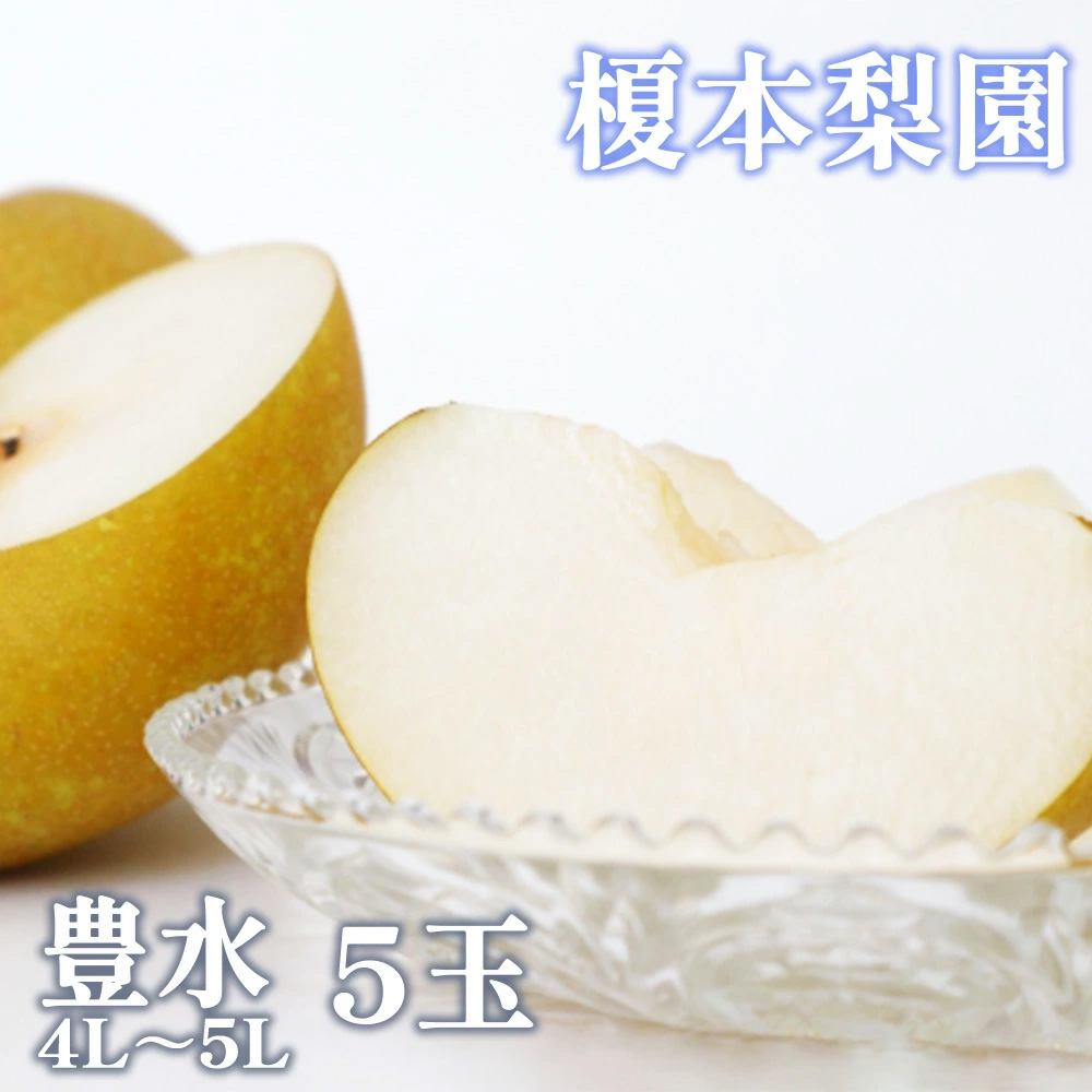 果汁したたる榎本梨園自慢の完熟梨　豊水5玉（4L～5L）　【11246-0380】
