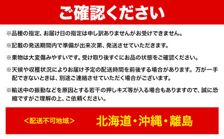 【2027年先行予約】【3回定期便】岡山のぶどう定期便 シャインマスカット ニューピオーネ マスカット【配送不可地域あり】