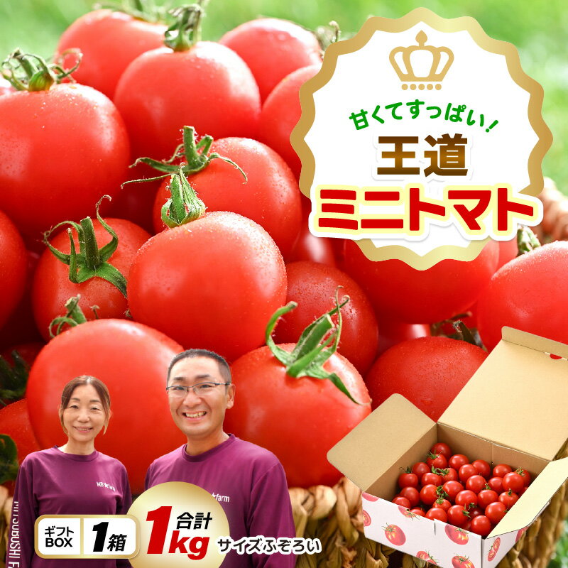 【ふるさと納税】甘くて酸っぱい王道ミニトマト☆たっぷり1kg【とまと トマト ミニトマト 野菜 生野菜 美容 健康 新鮮 産地直送 贈答 ギフト 国産】