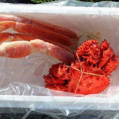 ふるさと納税 根室市 【年内配送可】本ズワイガニ足1肩、花咲ガニ1尾 A-57040 |  | 01