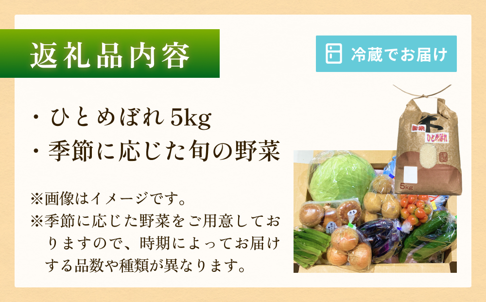 石巻産 お米と季節の野菜セット 朝採れ 旬の野菜 季節の野菜 お野菜 詰め合わせ 食材 新鮮