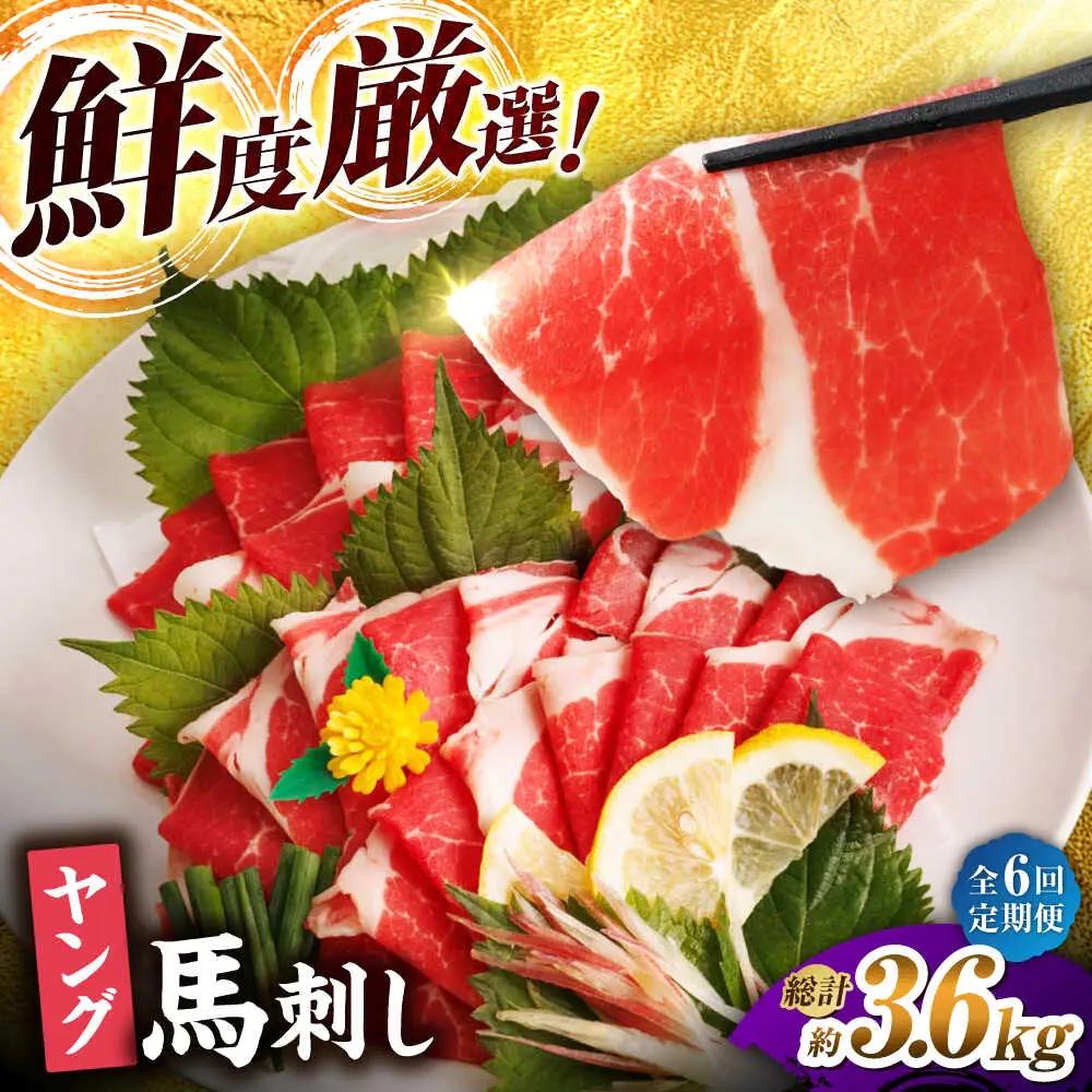 【6回定期便】まな板不要 切れてる 馬刺し 旨み広がる やわらか薄切り ヤング馬刺し 計600g（6pc）【馬刺しの郷 民守】馬肉 熊本県 特産品 馬刺し [ZBL075]