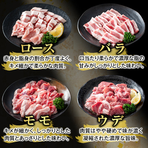 K-370-B かごしま味わい黒豚 焼肉ファミリーパック(合計2.4kg)【ふるさと産直バザール】霧島市 ロース バラ モモ ウデ 焼き肉 ヤキニク 豚肉 国産 鹿児島県産 肉 精肉 小分け セット 