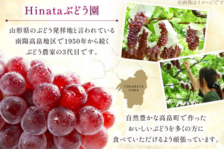【期間限定発送】 ぶどう 朝採り デラウェア 秀 L～2L 7房 約 1kg [Ｈinataぶどう園 山形県 高畠町 tk06ayt190008]