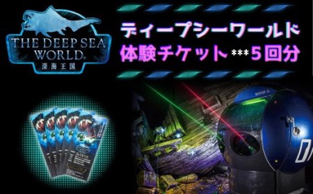 体験チケット利用券 5回分 ディープシーワールド アトラクションツアー チケット