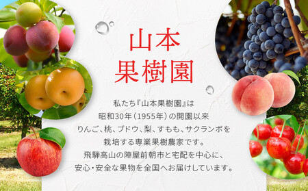 すりおろしりんご＆ももジュース 12本セット　|すりおろし果汁  リンゴ 林檎 桃 もも 果汁100％ 果樹園 飛騨高山　山本果樹園  MA018