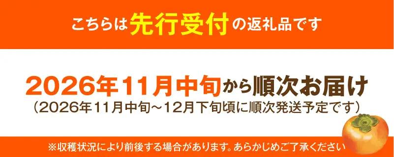【先行受付】 訳あり 富有柿 3kg こねり柿園自慢の富有柿 _KNR0708