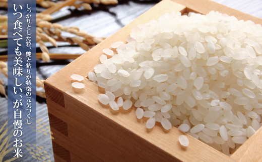 【新米】令和7年産 無洗米 元気つくし2kg