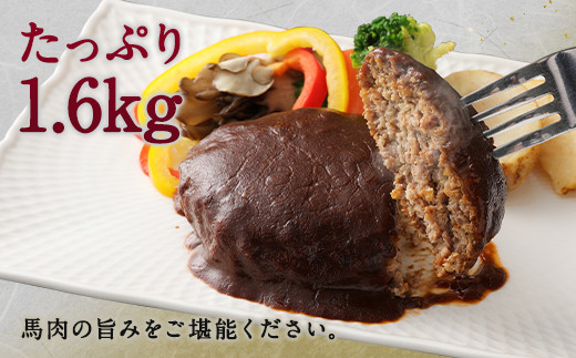 タテガミ入り 馬肉 ハンバーグ デミソース 8個 セット 計1.6kg