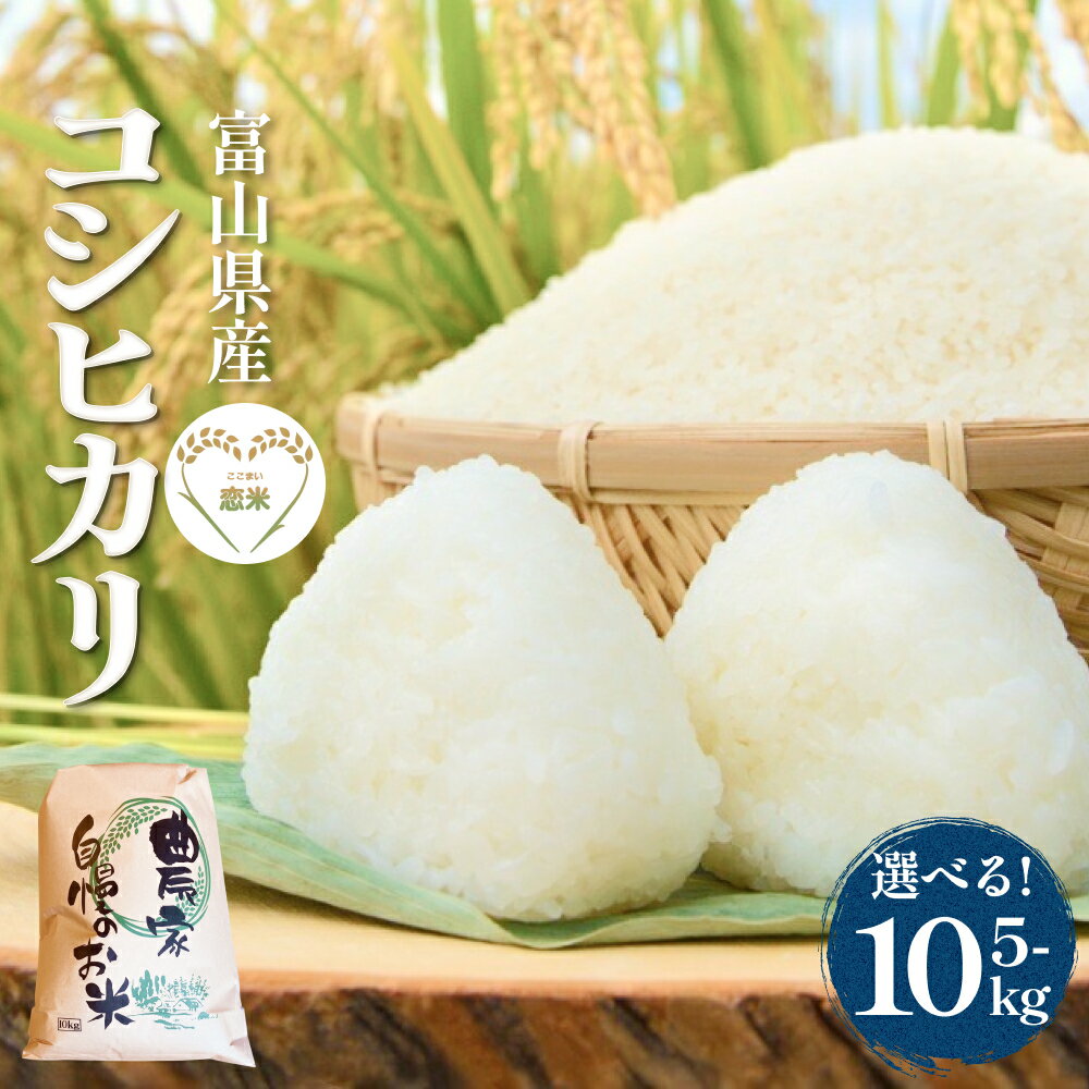 【ふるさと納税】富山県産 はざかけ米 コシヒカリ 5kg - 10kg　恋米（ここまい） ー天風穂（あまほ）ー