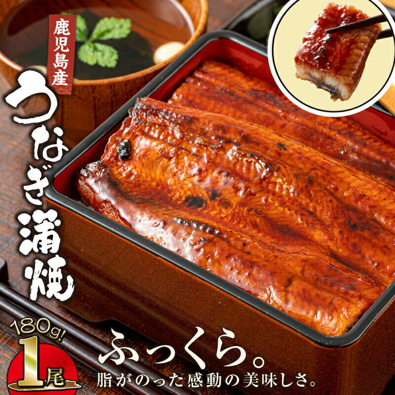 【ふるさと納税】鹿児島産うなぎ180g×1尾 清らかな地下水育ち！ふっくら、やわらか！ 鹿児島産 鰻 ウナギ 蒲焼き 養殖 たれ付 真空パック 湯煎 レンジ 国産 鹿児島県 うな丼 ひつまぶし 【財宝】