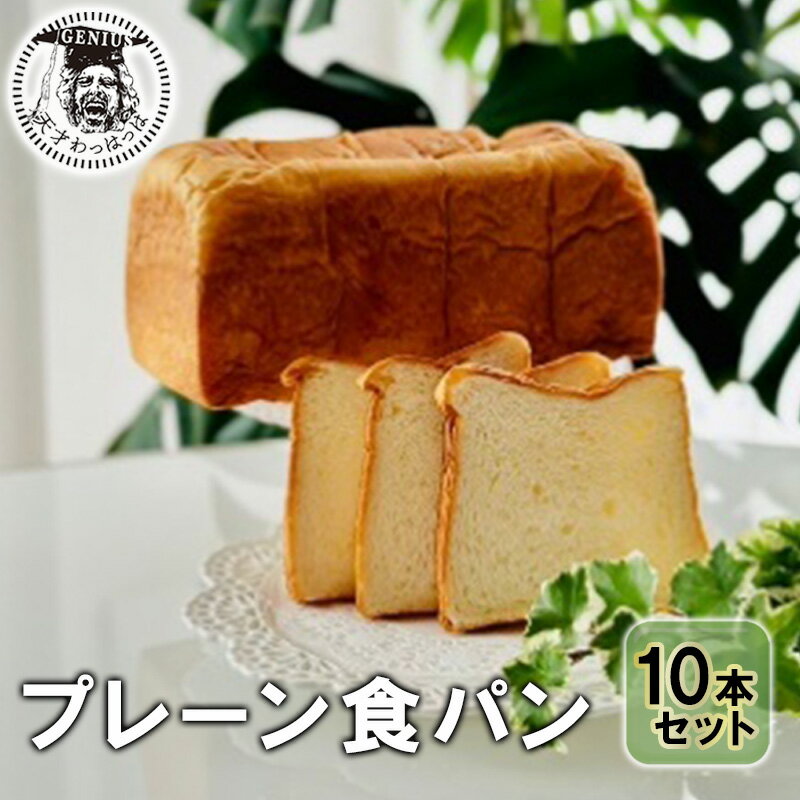 【ふるさと納税】 プレーン食パン10本セット (ご機嫌モーニング) パン ぱん 食パン ブレッド おいしい プレーン 朝食 朝ごはん 朝 数量限定 訳あり ふるさと納税 ふるさと 人気 おすすめ 送料無料 兵庫県 三田市[ 3d28bae530003 ]