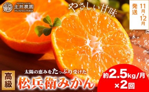 【2回定期便】主井農園の高級松兵衛みかん 2.5kg×2回 S～2Lサイズ(サイズおまかせ)《11月中旬-1月上旬頃出荷》主井農園 和歌山 和歌山みかん みかん ミカン 蜜柑 柑橘 果物 フルーツ