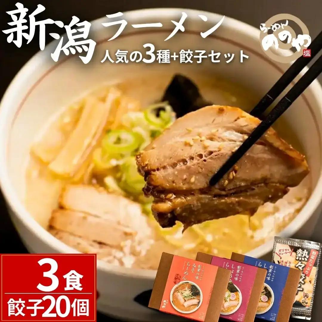 冷凍ラーメン3食+餃子20個 塩ラーメン 醤油ラーメン 味噌ラーメン [らーめんののや]  【010S001】