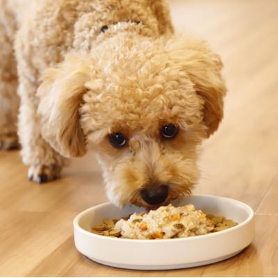 ふるさと納税 玉名市 【ふるさと納税】ちょいのせDeli 5種×各3袋セット【犬用フード】(玉名市) |  | 02