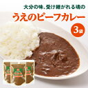 【ふるさと納税】大分の味、受け継がれる魂のうえのビーフカレー 3袋 カレーライス カレールー 欧風 カレー おおいた和牛 スパイシー シンプル 牛ホホ肉 化学調味料不使用 麻生醤油 味噌 原木干し椎茸 新908 簡単調理 冷蔵 湯せん 電子レンジ お取り寄せ 大分県産 K03027