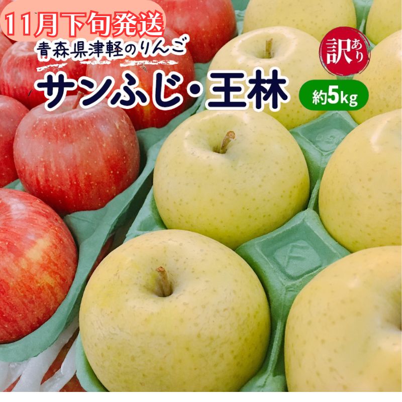 【ふるさと納税】【11月下旬発送】【訳あり】青森県津軽のりんご「サンふじ・王林」約5kg【里いちみfarm】 　お届け：2025年11月20日～2025年11月30日