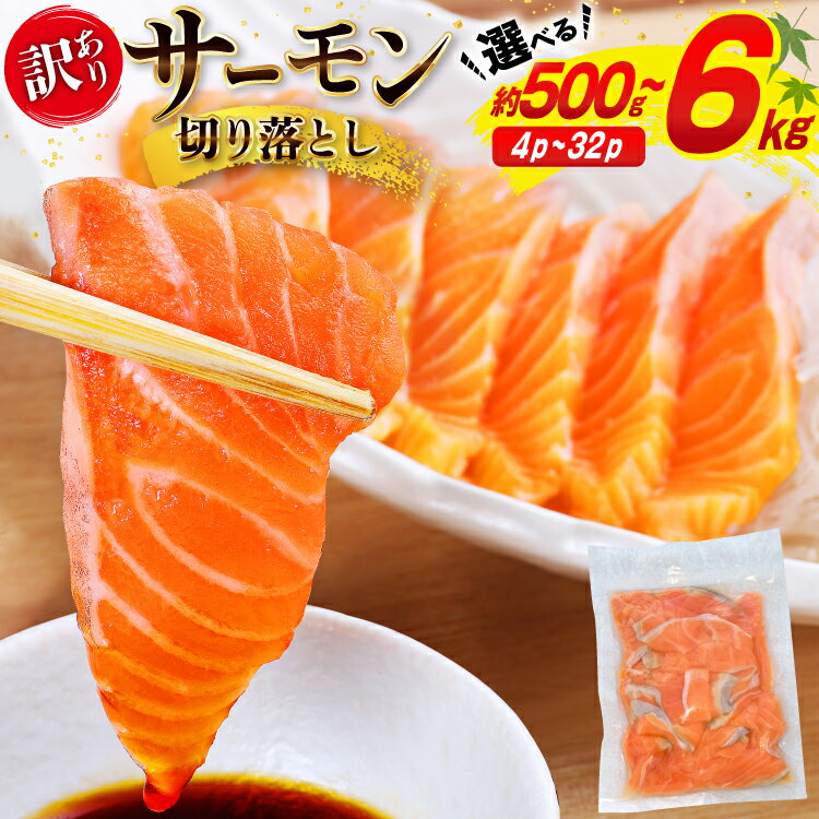 訳あり サーモン 切り落とし おさしみ用 1kg 125gx8p [足利本店 宮城県 気仙沼市 20563016] 鮭 お刺し身 刺し身 個包装 チリ銀鮭 銀鮭 海鮮 魚介類 海鮮丼 魚介