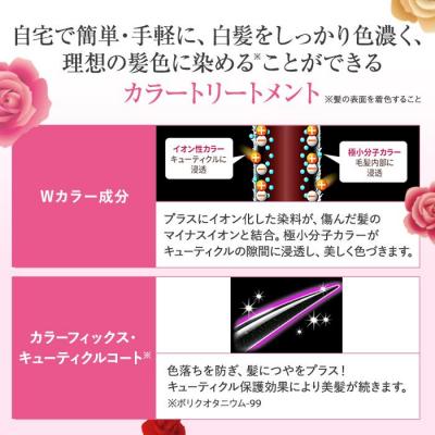 ふるさと納税 横浜市 DHC Q10プレミアムカラートリートメント【ブラック】 |  | 01