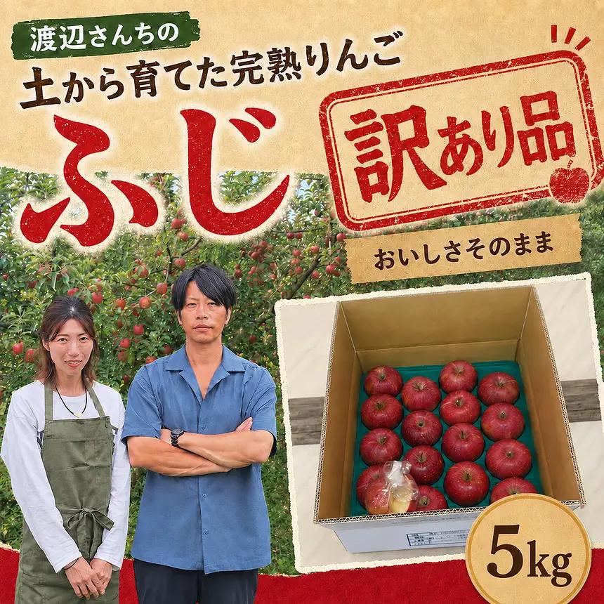 訳あり りんご 完熟 ふじ 5kg 箱｜【11月下旬より順次お届け】リンゴ 林檎 フルーツ 果物 栃木県矢板市産