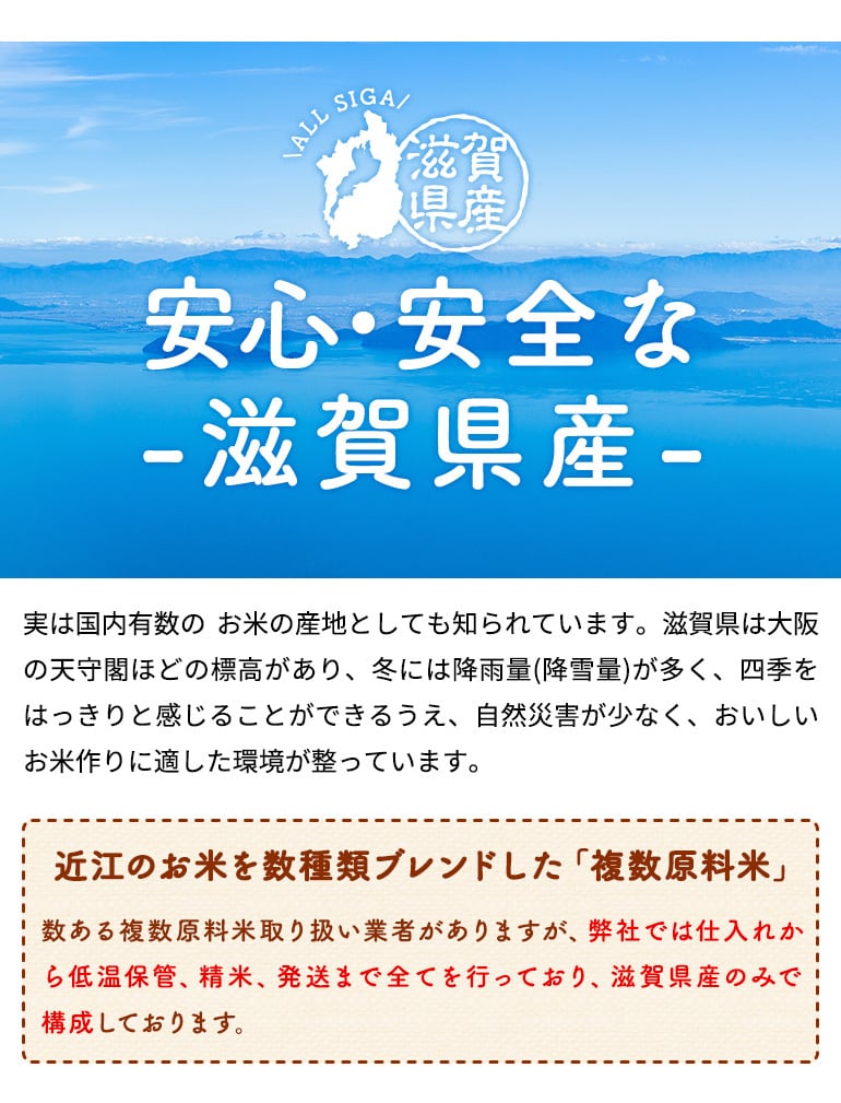 【令和7年産含む 】近江ブレンド米 10kg 愛荘町産 白米 精米 米 お米 単一原料米 ブランド米 銘柄米 国産 ご飯 白飯 ゴハン 食品 支援 支援品 生活支援 生活応援 送料無料 AY002