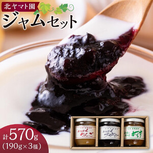 ジャム セット 570g ( 190g × 3種 ) 北ヤマト園