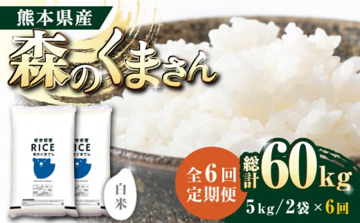 【全6回定期便】  森のくまさん 白米 10kg(5kg×2袋)【有限会社  農産ベストパートナー】 お米 コメ 熊本 特A 精米 ごはん 特産品 定期便 [ZBP056]