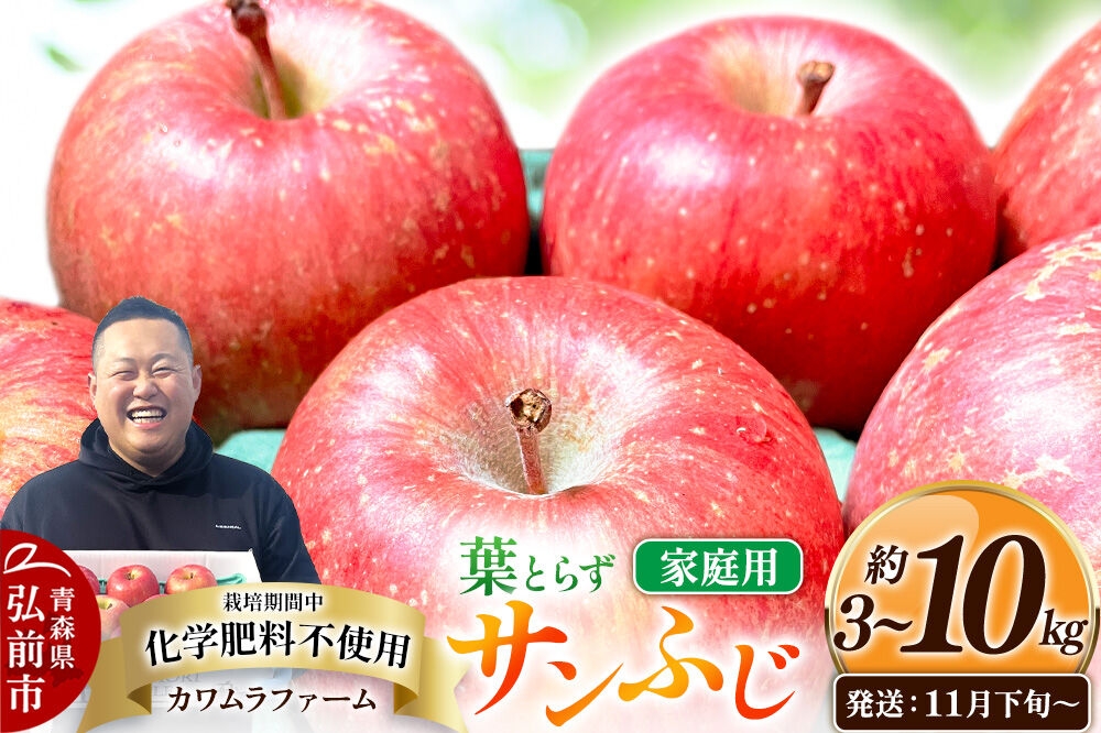 
                  りんご【26年11月下旬～発送】葉とらず サンふじ【選べる約 3kg／6kg／10kg】【家庭用】先行受付 カワムラファーム 青森県 弘前市 果物 フルーツ 林檎 リンゴ くだもの 不揃い 規格外 [先行予約 産地直送 アップル おいしい 果実 美味 甘い 赤色]
                