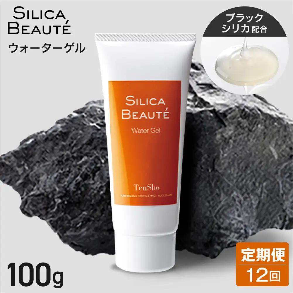 【12ヶ月定期便】シリカボーテ　ウォーターゲル100g | 化粧水 ゲル 保湿 スキンケア 美容 北海道 札幌市