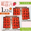 【ふるさと納税】いちご イチゴ 苺 【1～2月発送】 掛川産完熟いちご「ミズノ農園の紅ほっぺ 」280g×4パック （計1120g） ※1月～2月末にかけて順次発送（ 紅ほっぺ 人気 くだもの フルーツ ストロベリー 掛川市 静岡 いちご ）