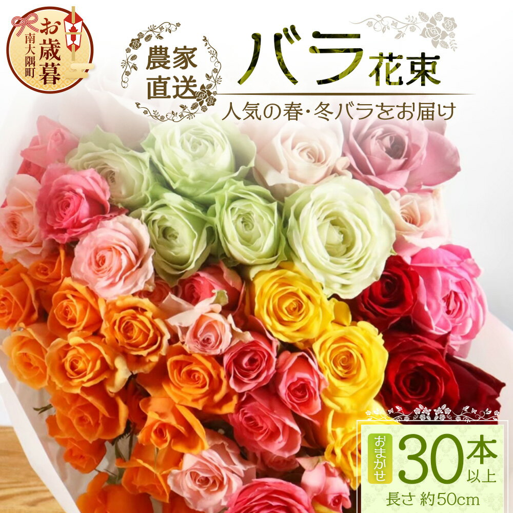【ふるさと納税】【お歳暮】【人気の春・冬薔薇をお届け】ばら農家直送！バラ花束30本以上お届け(色はおまかせ) 【ギフト対応可】TB-16-os│ローズ 新鮮 花 フラワー 花束 ばら 薔薇 バラ 誕生日 記念日 結婚祝い ギフト プレゼント お祝い 贈り物 贈答 鹿児島県 南大隅町
