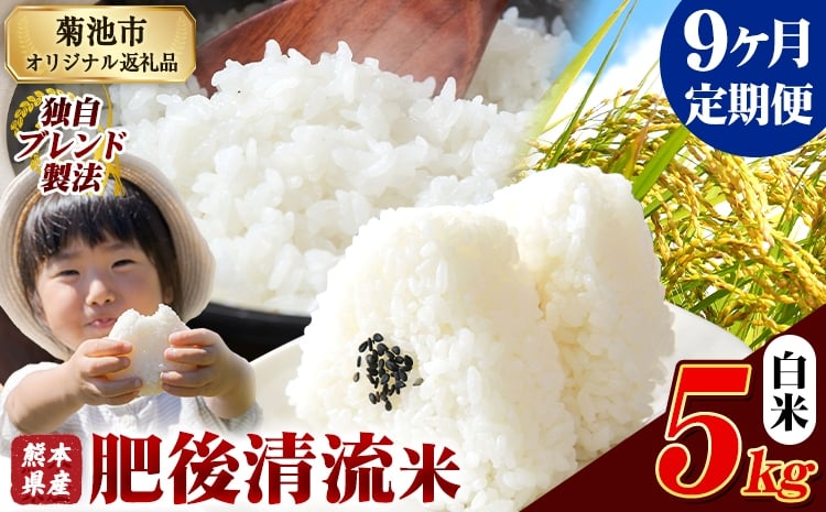 
            【9ヶ月定期便】熊本県産 肥後清流米 白米 5kg 熊本県産 ふるさと納税 精米 米 こめ ふるさとのうぜい コメ お米 おこめ《お申込み翌月から出荷》
          