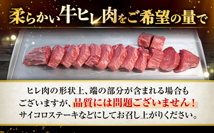 【6回定期便】長崎和牛 ヒレ ステーキ（3～5枚） 計600g＜大西海ファーム＞ [CEK079]