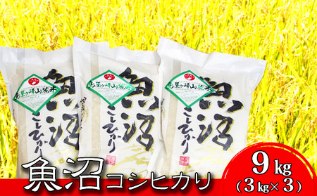 令和6年産 魚沼コシヒカリ　鳥屋ヶ峰山麓米(精米)９kg(3kg×3)