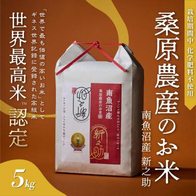 ふるさと納税 南魚沼市 R7年産　予約　ギネス世界記録「世界最高米」認定 最高級南魚沼産新之助5kg 桑原農産のお米