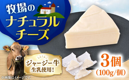 チーズ ナチュラルチーズ 3個セット　【よこすか関口牧場】[AKGN010]
