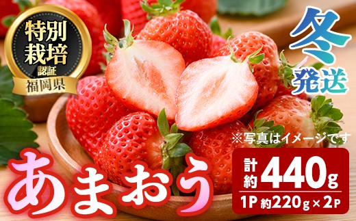 ＜先行予約受付中！2026年12月～2027年2月発送予定＞ うるう農園の あまおう 2Lサイズ (計約440g・約220g×2P) 苺 いちご イチゴ 果物 フルーツ 国産 福岡県 ヨーグルト ジャム スムージー 冷蔵 冬発送 特別栽培 ＜離島配送不可＞【ksg1959】【うるう農園】