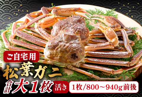 【活き】ご自宅用松葉ガニ　大　１枚