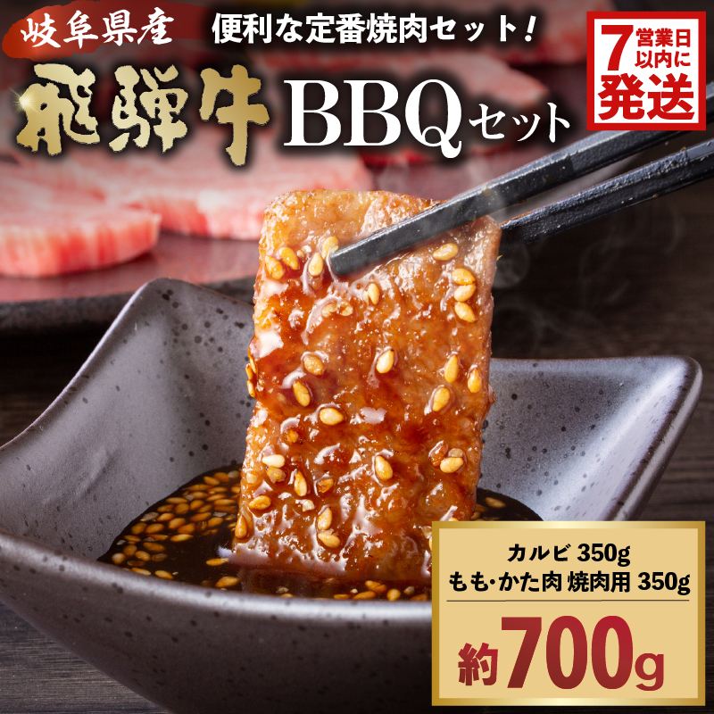 飛騨牛ＢＢＱセット(カルビ350g、もも かた肉 焼き肉用350ｇ)【0016-022】