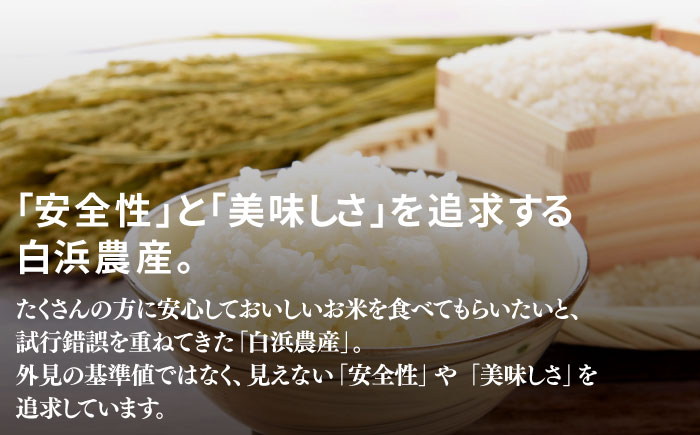 【先行予約 2026年10月～発送】令和8年産 新米 夢しずく（白米） 20kg 【白浜農産】 米 20kg 特A 特A評価  精米  佐賀県産 国産米 コメ こめ お米 白米 ブランド米 精白米 お