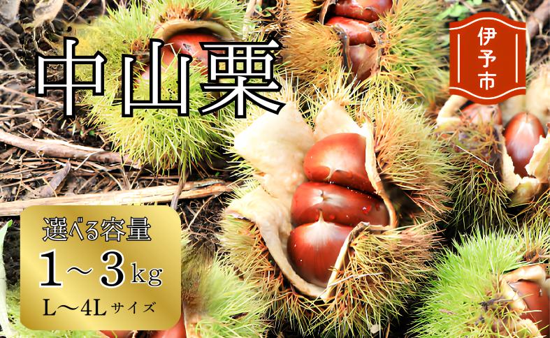 
                  【2026年先行予約】中山栗 L～4Lサイズ 【選べる容量】1～3kg 【9月中旬以降順次発送予定】愛媛県ブランド 大粒 濃厚な甘み ホクホク 焼き栗 栗ごはん 中山町 伊予市 愛媛
                