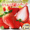 【ふるさと納税】【2025年先行予約】日本一のいちご生産量を誇るJAはが野が厳選 とちおとめ,とちあいか食べ比べ/とちあいか | 送料無料 栃木県 下野市 先行予約 いちご フルーツ 甘い ジューシー かき氷