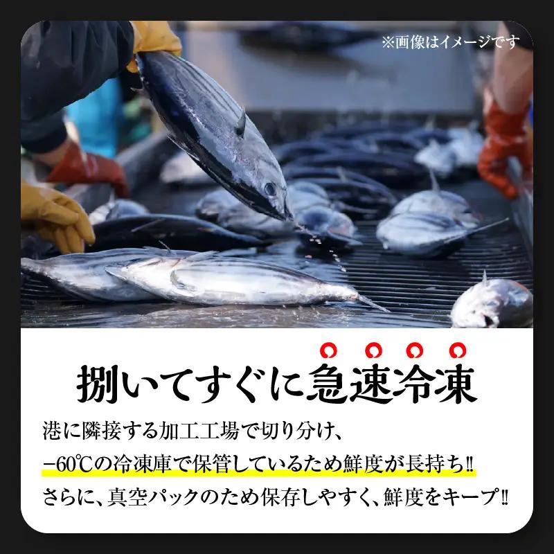 獲れたて 新鮮 生カツオ刺身 計800g 魚 魚介類 海鮮 食品 国産_DB52-26