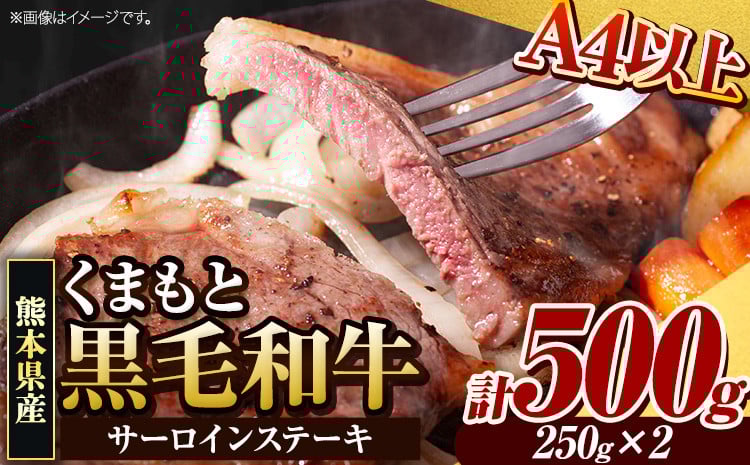 
            くまもと黒毛和牛 サーロインステーキ 500g ( 250g x 2枚 ) 牛肉 冷凍 《30日以内に出荷予定(土日祝除く)》くまもと黒毛和牛 黒毛和牛 冷凍庫 個別 取分け 小分け 個包装 ステーキ肉 にも サーロインステーキ 
          