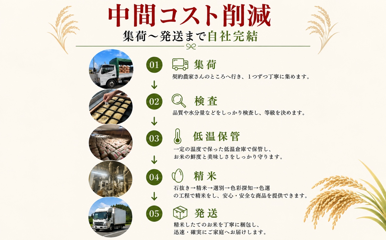 ひまわり咲く大地の、極上コシヒカリ